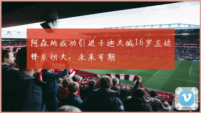阿森纳成功引进卡迪夫城16岁左边锋东切夫，未来可期